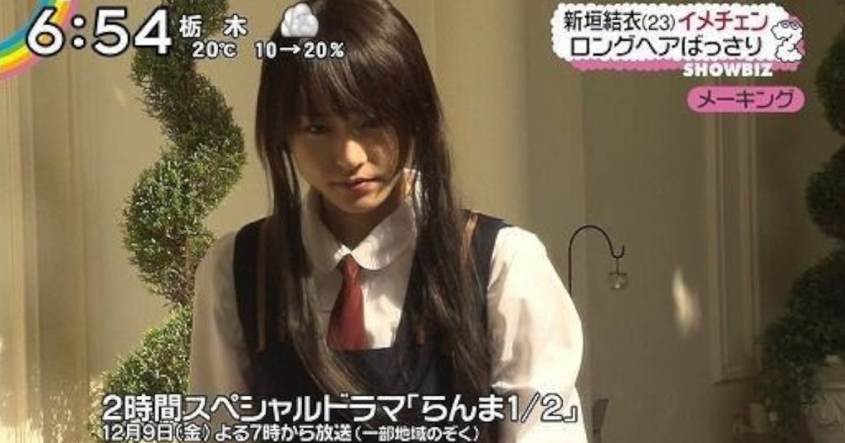 【画像】らんま½のガッキー