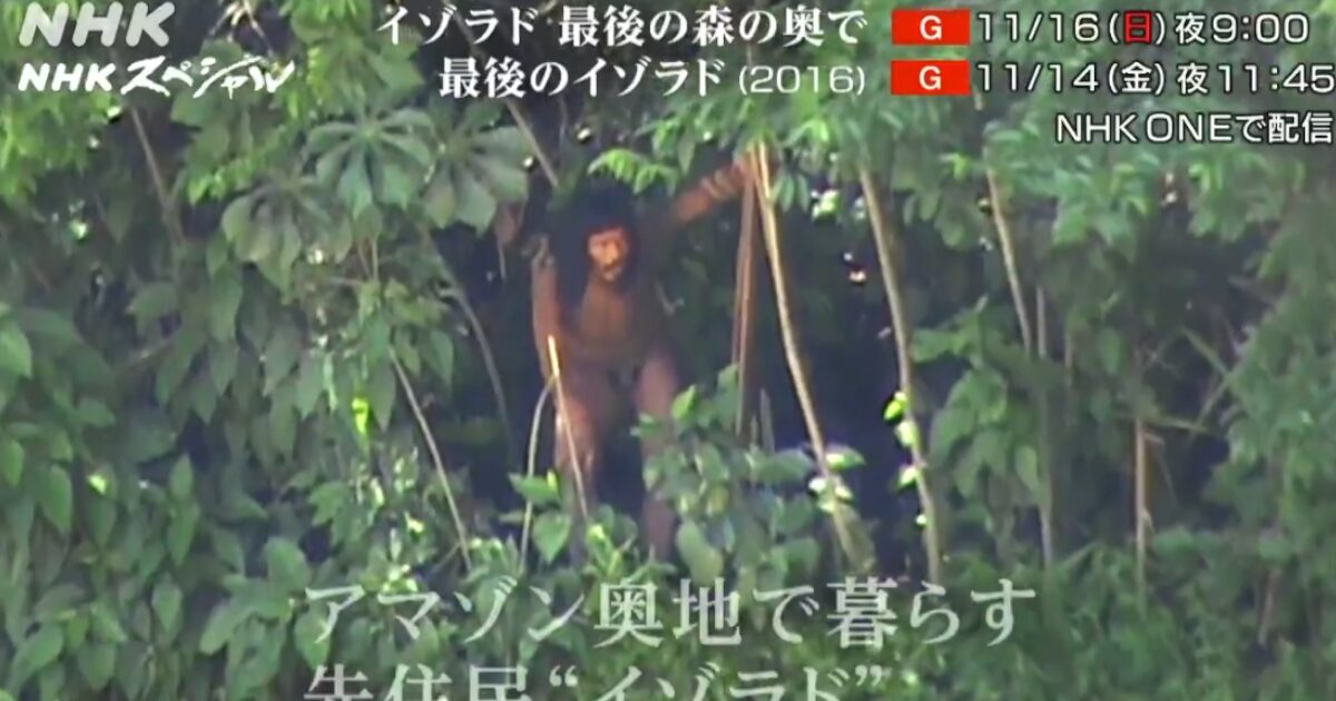 【動画】NHK、ジャングルに住む巨乳未開人の撮影に成功