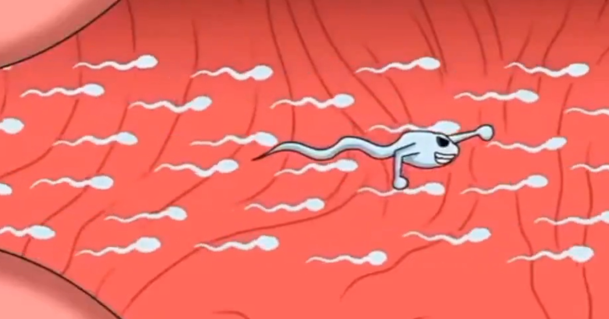 【悲報】中出しから受精するまでのアニメがコチラ