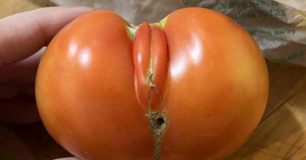 【画像】マンコすぎる野菜が見つかる