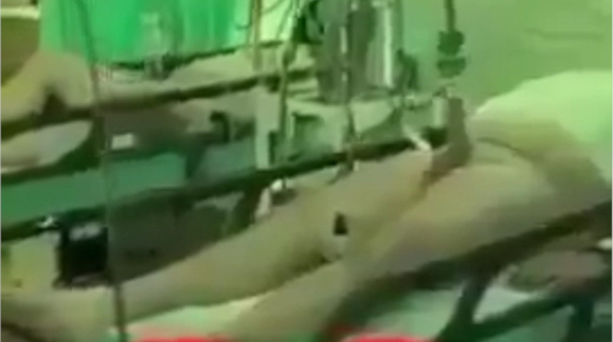 【動画】本物の搾精病棟、発見される