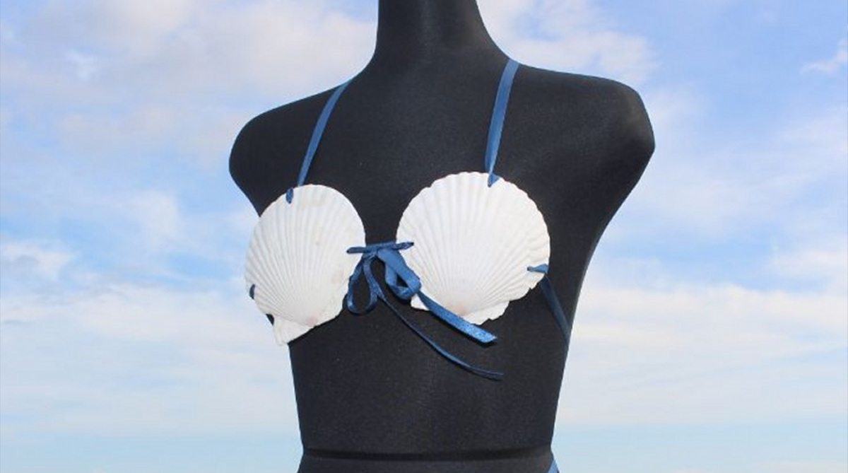 青森県「う～ん、ふるさと納税してもらいたいなぁ…せや！貝殻水着を返礼品にしたろ！」